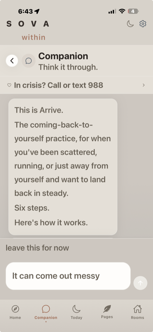 SOVA within — Companion guided reset screen